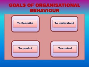 NR 510 Week 3: Organizational Behavior & Business Influences & Advanced Practice Nursing Case Study