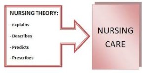  Theory and the APN Role Discussion